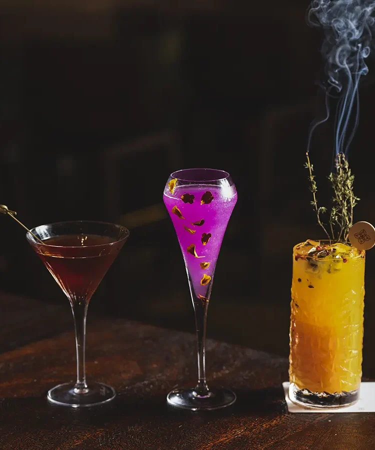 casa-pestagua_galeria-animare-bar_02